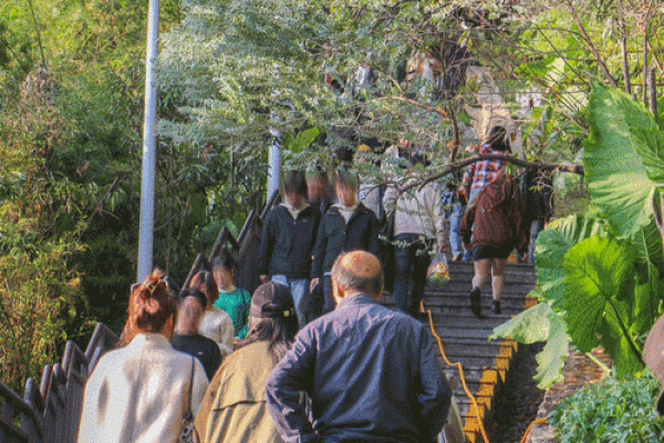 厦门算命的地方