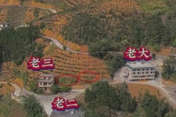 双星风水更好的房子