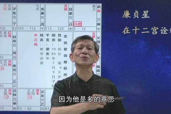 廉贞星什么星座