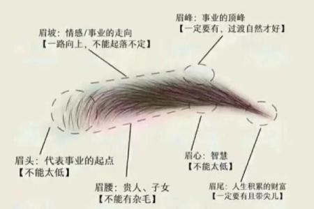风水角度：柳叶眉女生的面相解释