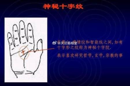 【手型算命】最基本的手型之哲学手