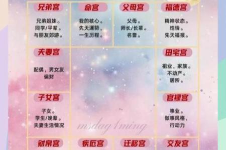 紫微斗数之夫妻宫与诸星，贪狼星在夫妻宫是什么意思？