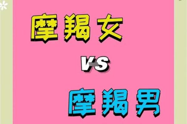 摩羯座跟哪个星座适合谈恋爱 摩羯座跟哪个星座适合谈恋爱