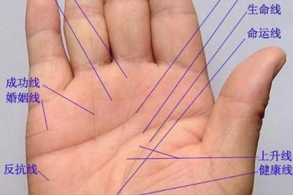 手线算命 手线算命