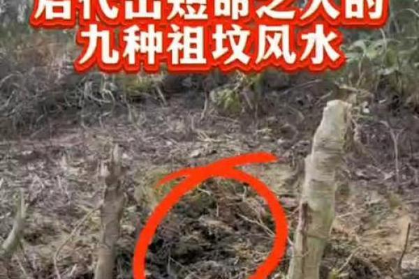 祖坟风水不注意对后代的影响