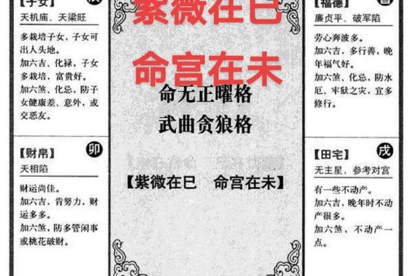 紫微斗数文库 紫微斗数全书原文注解？