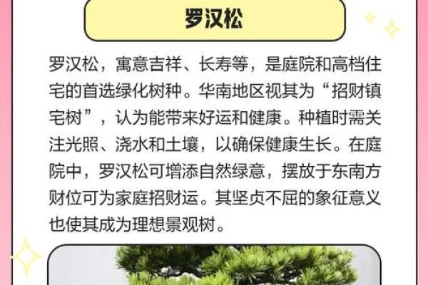 农村风水树有哪些禁忌及注意事项