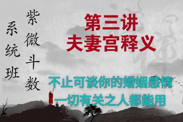 紫薇斗数夫妻宫凤阁