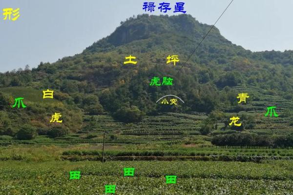 前山后河的房子风水