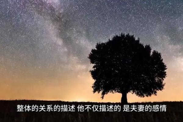 紫薇斗数婚姻墓