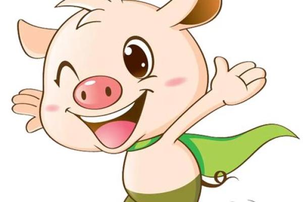 属猪男八字 属猪男八字