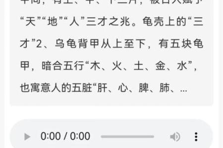 哪个生肖不宜养龟风水