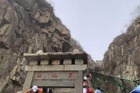 山东台儿庄马先生算命