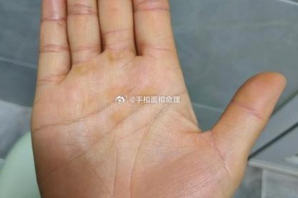 川字掌算命分析 川字掌算命分析