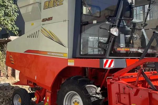 什么样的八字能成为鲜肉收割机