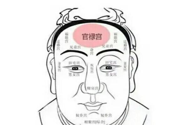 有关印堂面相算命图解 有关印堂面相算命图解