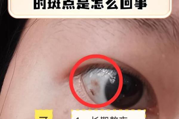 眼睛黑眼珠子多算命 眼睛黑眼珠子多算命