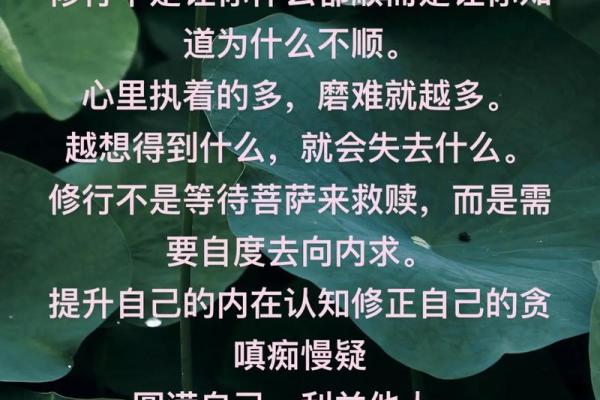 看懂自己的八字，其实是一场修行