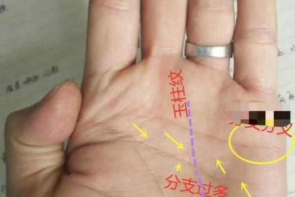 手型算命：土型手人的性格与命运