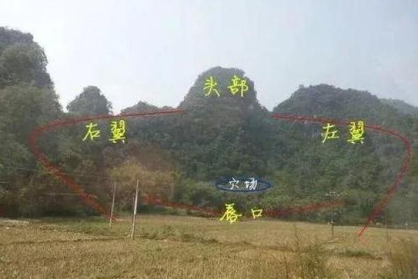 助旺后人，祖坟风水如何看好坏