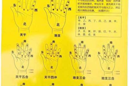凯帝阿手相算命图解大全05