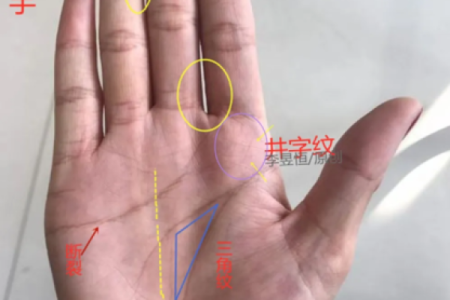 穿越开局得到算命能力