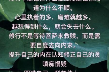 看懂自己的八字，其实是一场修行