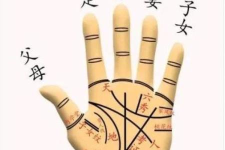 手型算命：土型手人的性格与命运