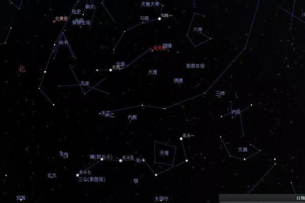 紫薇星北极星是什么龙 紫薇星北极星是什么龙