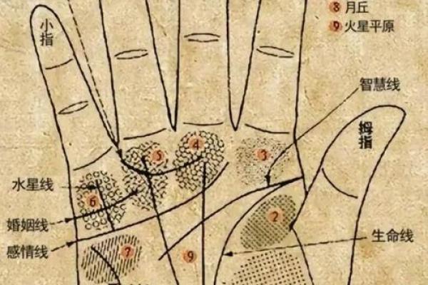 图解：手相障碍线算命