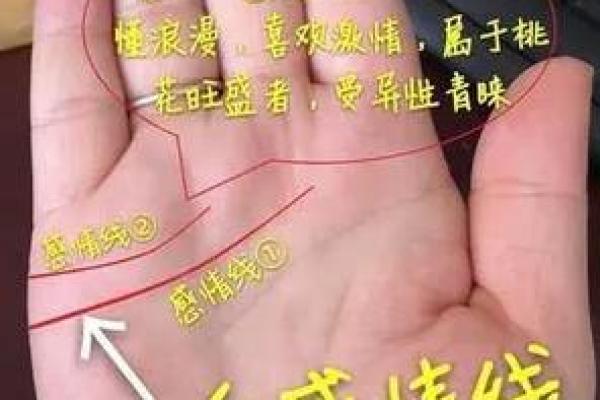 女人手相算命图解