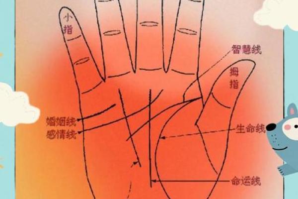 女人手相算命图解