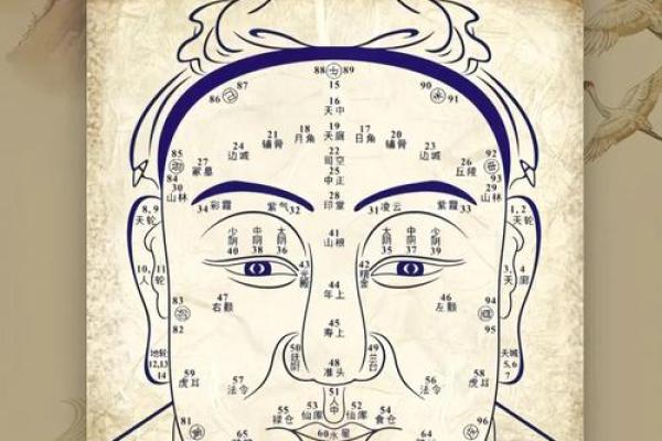 紫微斗数诸星落诸宫之：天相星官禄宫详解