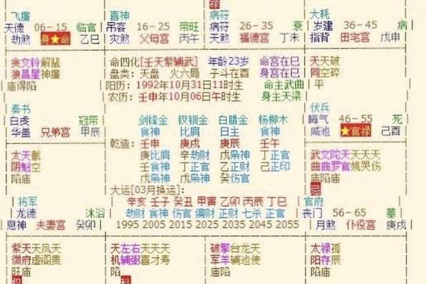 紫薇斗数中哪些属于财星