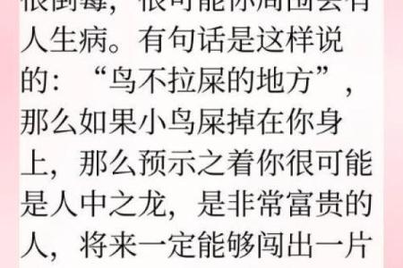 鸟拉屎在身上算命