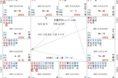 紫薇斗数怎么看嫁入豪门