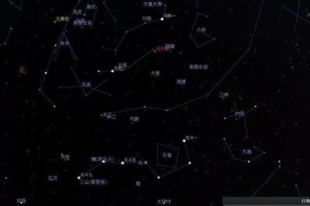 紫薇星北极星是什么龙