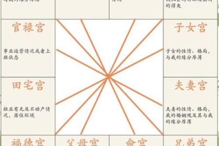 怎么解紫薇斗数