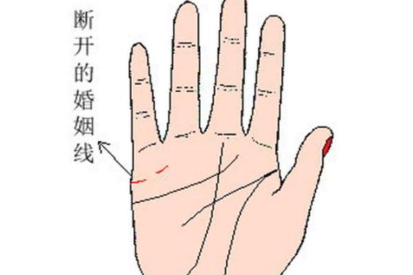 男人左手手相算命图解 婚姻线清晰无曲折象征幸福