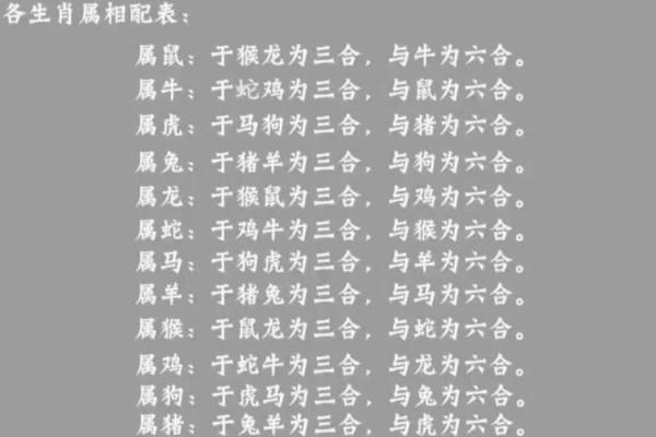 八字合狗是 八字合狗是