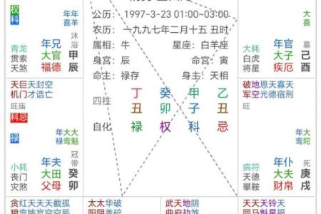 紫薇斗数与八字优缺点