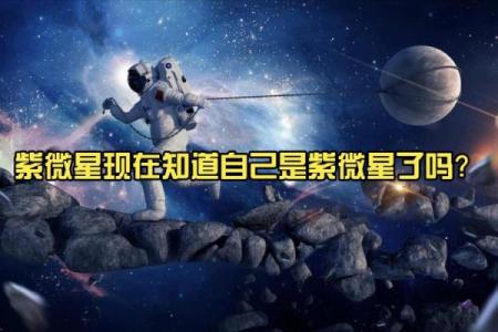 怎么判断自己是不是紫薇星