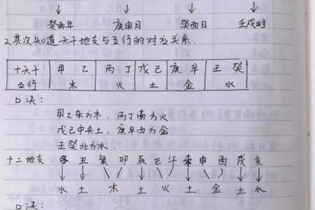 根据八字旺弱评分的标准，如何提升自身运势？