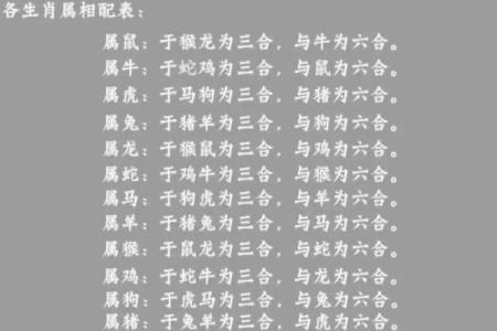 八字合狗是