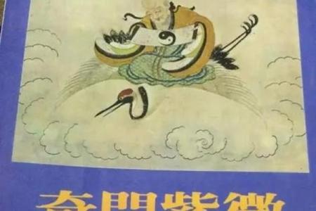 紫云紫薇斗数视频