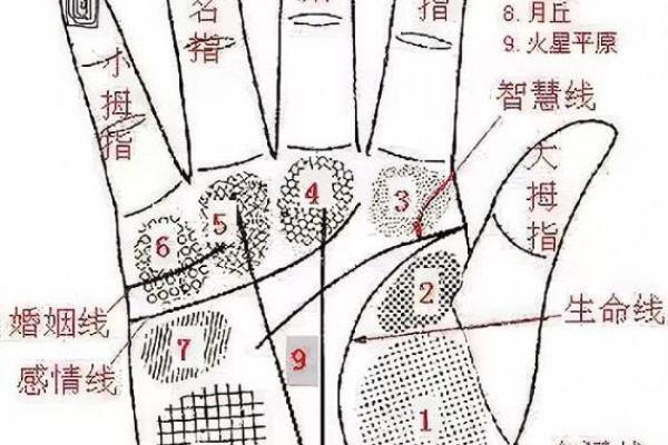 手纹算命图解【高清】 手纹算命图解【高清】
