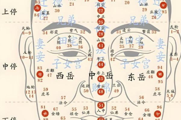 算命看面 算命看面