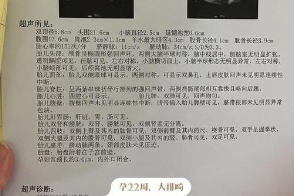 算命说打过胎实际没有胎心 算命说打过胎实际没有胎心