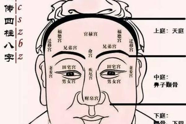 耳朵高于眉毛的人 面相算命 耳朵高于眉毛的人 面相算命