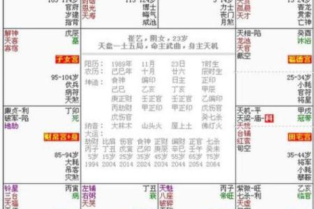 紫微斗数学习 紫微斗数在线排盘免费？